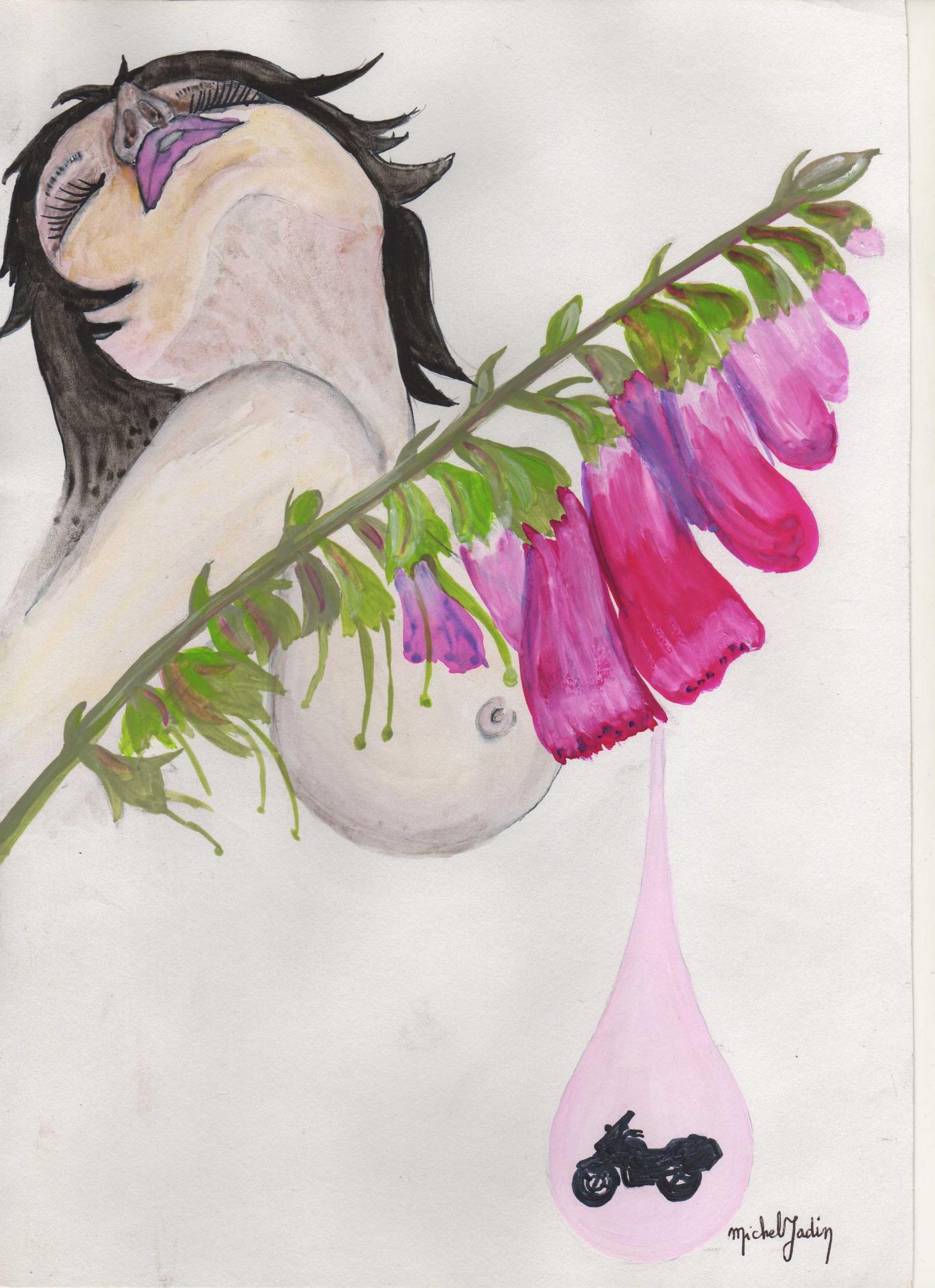 Dessin original d'un polar